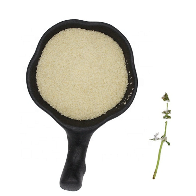Factory Supplies Bulk Halal Bovine Gelatin Powder Made in China Factory